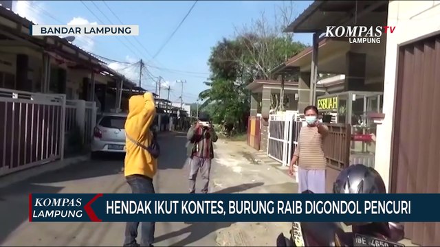 Hendak Ikut Kontes, Burung Raib Digondol Pencuri