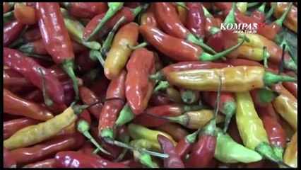 Harga Telur Ayam dan Cabai Rawit Terus Melonjak di Surabaya