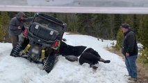 Person Falls Out of Off-roading Vehicle After It Gets Stuck in Snow