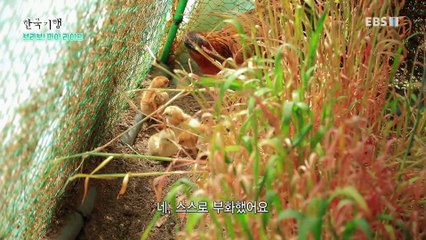 한국기행 - Korea travel_브라보! 마이 라이프 2부- 내 멋대로 산다_#001
