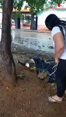 'Compassionate lady rescues a helpless dog from non-stop rain '