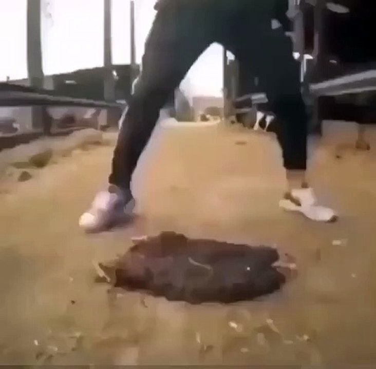 Break dance 