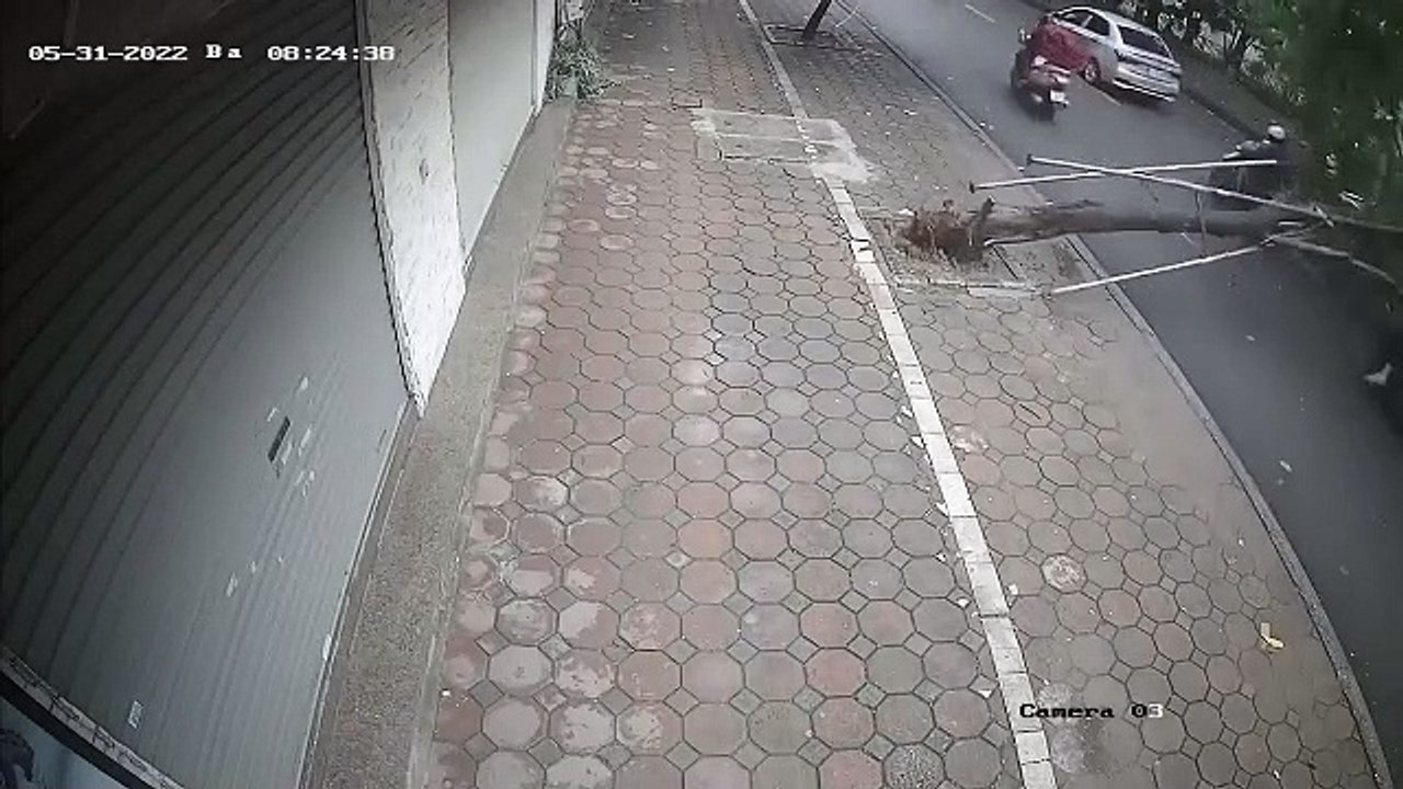Cây to bất ngờ bật gốc, đổ trúng người đi xe máy