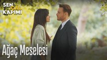Ağaç meselesi - Sen Çal Kapımı