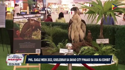 May-ari ng SUV na nakasagasa sa guwardiya sa Mandaluyong, hindi sumipot sa pagdinig