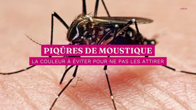 Piqûres de moustique : voilà la couleur à éviter pour ne pas les attirer