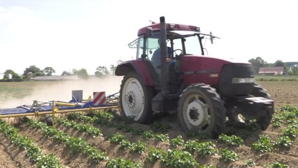 Actus : Le désherbage mécanique, une alternative à l’agriculture chimique - 07 juin 2022
