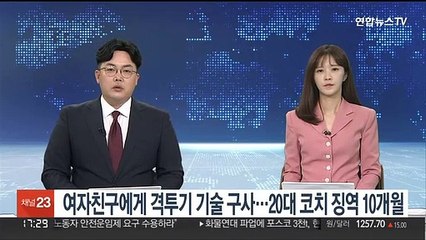 여자친구에게 격투기 기술 구사한 20대 코치 징역 10개월
