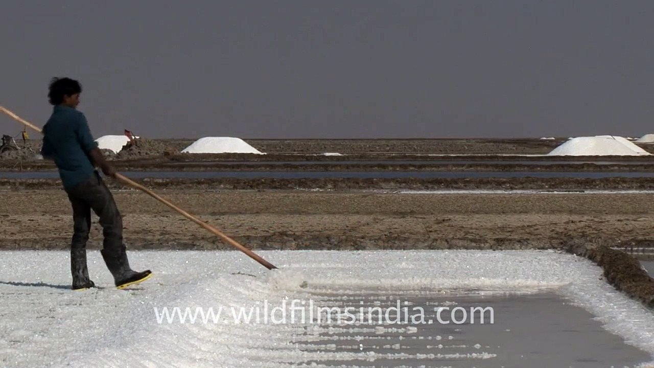 Water turns into salt..Its Magic!!, Gujarat