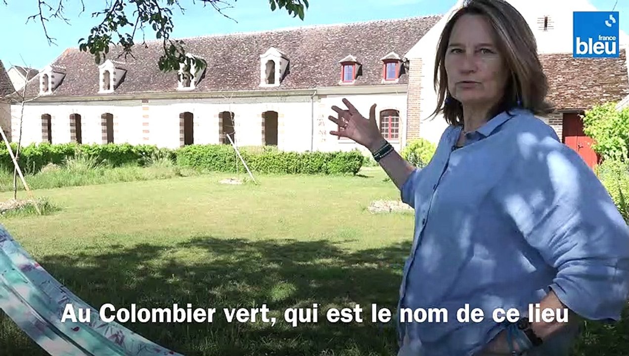 Le sureau : une plante médicinale