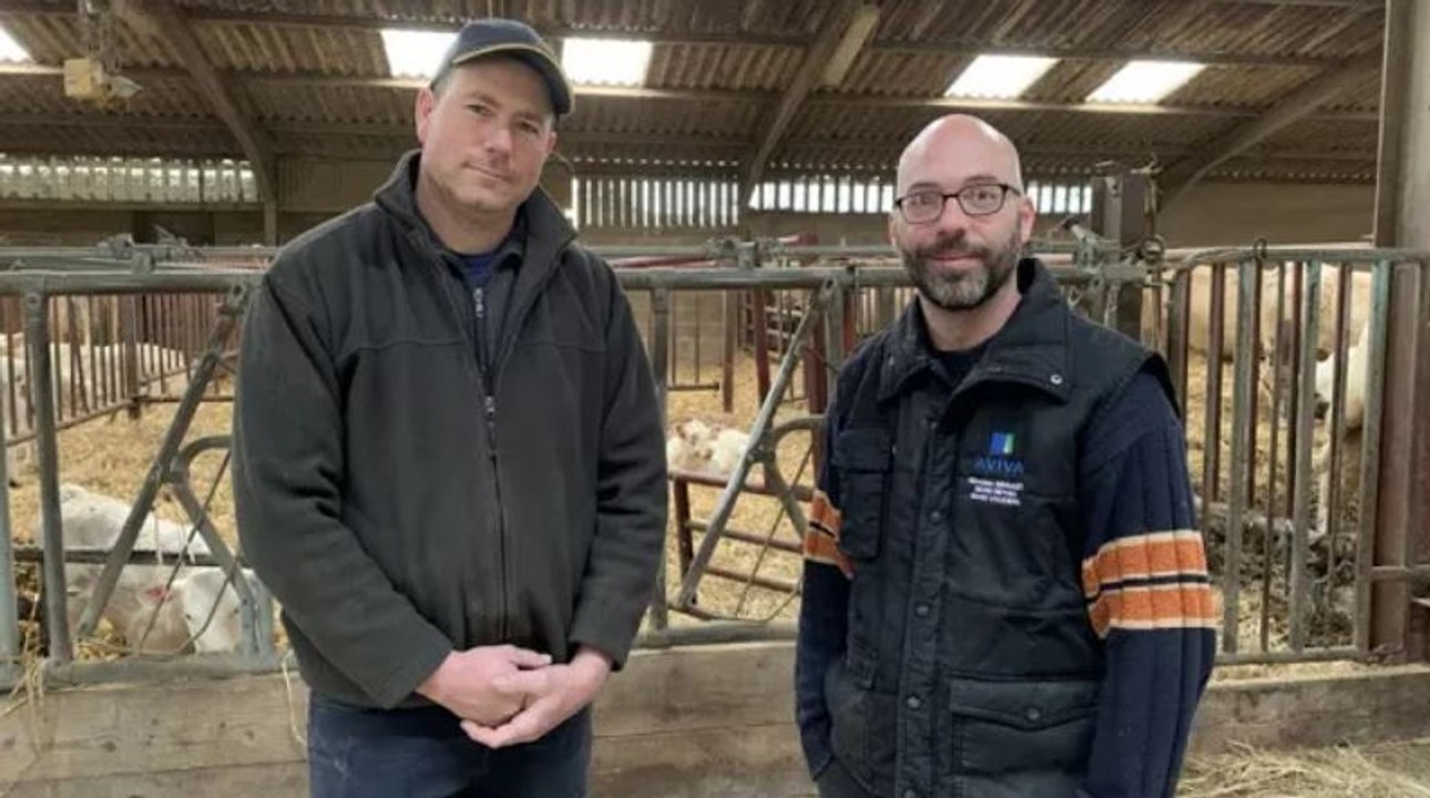 [En Charolais] Ils achètent leurs taureaux en copropriété pour accéder à une meilleure génétique