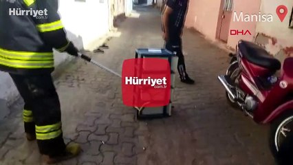 Ayakkabılığa giren 1,5 metrelik yılanı itfaiye yakaladı