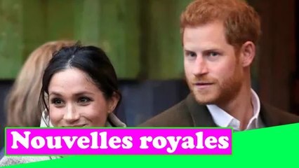 « Non-sens prétentieux et complaisant ! » Les derniers projets de Harry et Meghan subissent des cont