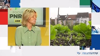 Focus PNRR - Puntata del 01/07/2022