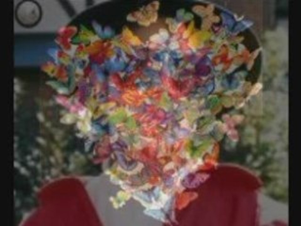 M.Jackson feat Eve - Butterflies