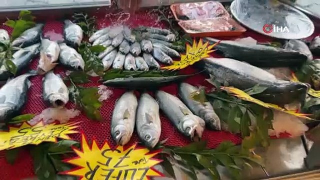 Tezgahlarda lüfer ve çinekop bolluğu