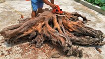 Amazing Extremely Creative Woodworking You've Never Seen Discarded Wood Stumps