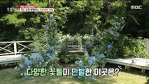 [HOT] A secret garden cafe where you explore while looking at a map, 생방송 오늘 저녁 220607