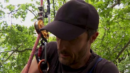 Tour Eiffel: un militant juché sur un arbre pour alerter sur leur protection