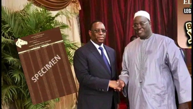 Cheikh Abdou Lahad Mbacké Gaïndé : Certains veulent créer un climat insurrectionnel au Sénégal