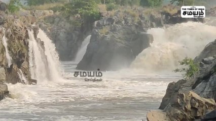 ஒகேனக்கல்லில் திடீர் வெள்ளம்; சுற்றுலா பயணிகளுக்கு தடை!