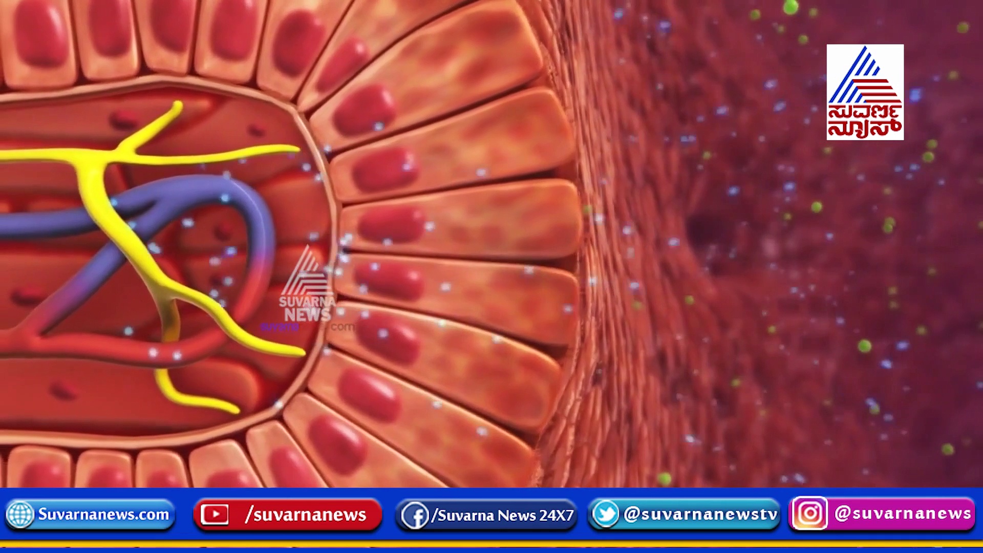 ತಾಮ್ರದ ಬಾಟಲಿಯಲ್ಲೇಕೆ ನೀರು ಕುಡೀಬೇಕು?