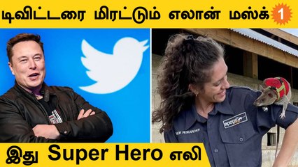 Twitter-க்கு Elon Musk Notice! Tata-வின் 10000 Electric Cars| *BitsandBytes | Aanee's Bits and Bytes