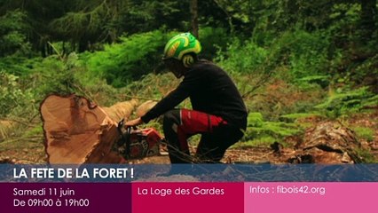Toutes vos sorties dans la Loire !