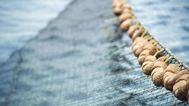 Denizde trolle gezen balıkçının ağına takılan balık panik yarattı: Daha önce böylesini görmedim