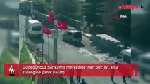 Sarıkamış’ta merkeze inan boz ayı panik yaşattı