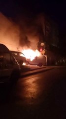 Park halindeki minibüs alev topuna döndü