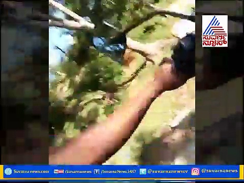 ಚಲಿಸುತ್ತಿರುವ ಬೈಕ್‌ನಲ್ಲಿ ಟ್ಯಾಂಕ್ ಮೇಲೆ ಕೂತು ಯುವತಿ ರೊಮ್ಯಾನ್ಸ್! ವಿಡಿಯೋ ವೈರಲ್