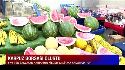 Karpuzun fiyatı adım başı değişiyor