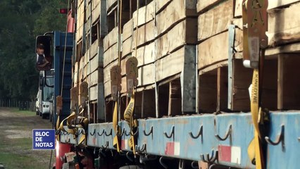 Inscripción récord en la tecnicatura universitaria en producciones vegetales intensivas