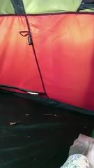 Il se prend un coup de pression dès le réveil après une nuit de camping en forêt !