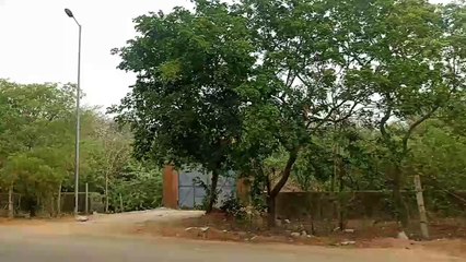 Weather News- इस बार प्री मानसून में कम बरसे बादल, 66 फीसदी की आई कमी