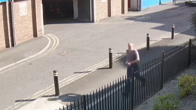 Convicted child abductor jailed after violently robbing lone woman in shocking daylight attack