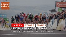 #Dauphiné 2022 - Étape 3 / Stage 3 - Flamme Rouge / Last KM