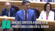 Pedro Sánchez responde a Alberto Núñez Feijóo en el Senado
