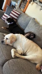 My hunny is home and happy to be home!!!