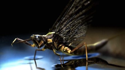 What We Do in the Shadows - movie trailer