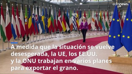 Estas son las 4 opciones para sacar 20 millones de toneladas de grano de Ucrania