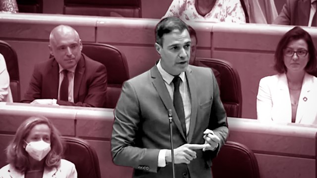 Primer choque entre Sánchez y Feijóo en el Senado: “Violencia de género, no violencia intrafamiliar”