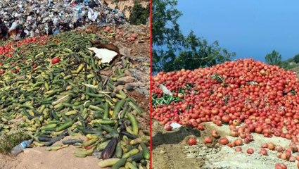 Antalya'da çöpe atılan sebzeler sosyal medyada tepki çekti