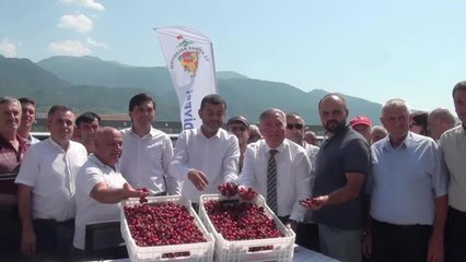 Honazlı Kiraz Üreticisi: "İnşallah, Gelecekte Hiçbir İhracatçıya Bağlı Kalmadan Kendi Ürettiğimiz Malımızı Satmış Oluruz"