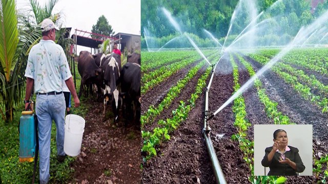 Estudios Sociales (4 y 5 de Junio)