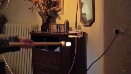 Differenza  campo elettrico e campo magnetico difference between electric field and magnetic field