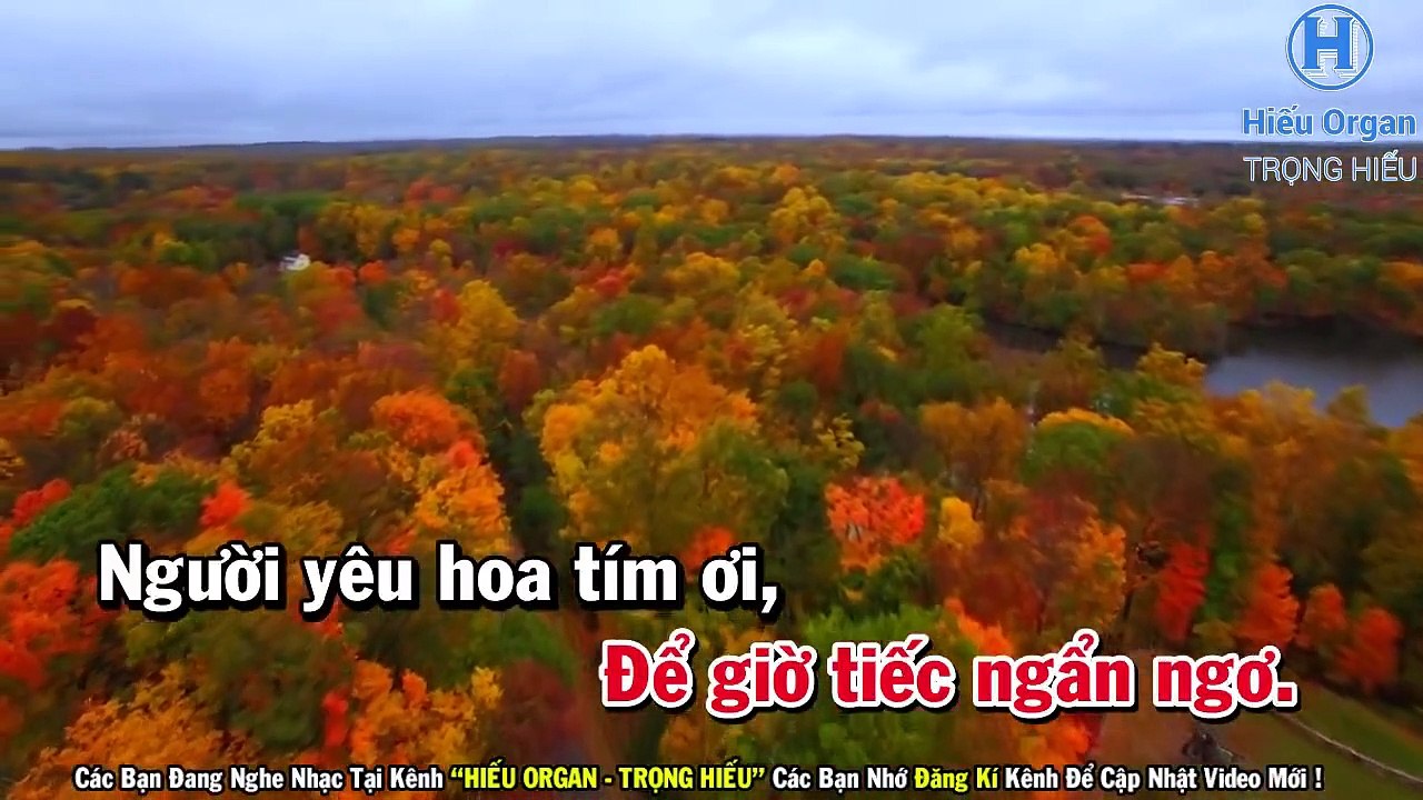 Karaoke Đường Tím Bằng Lăng Tone Nữ Nhạc Sống