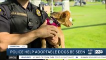 Police help adoptable dogs be seen
