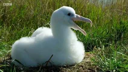 Secrets of Skin episode 3 - Protection